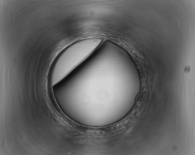 X0000100870242200806200909