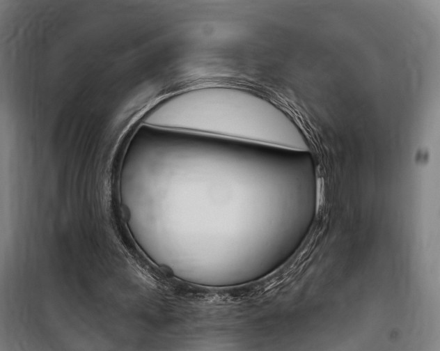 X0000100870243200806200909