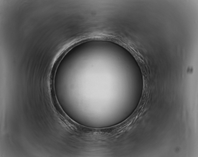 X0000100870244200806200909