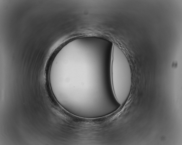 X0000100870246200806200909
