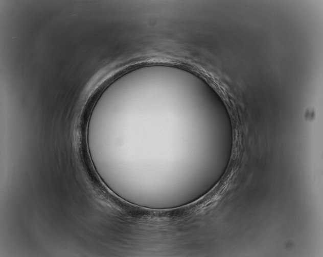 X0000100870247200806200909