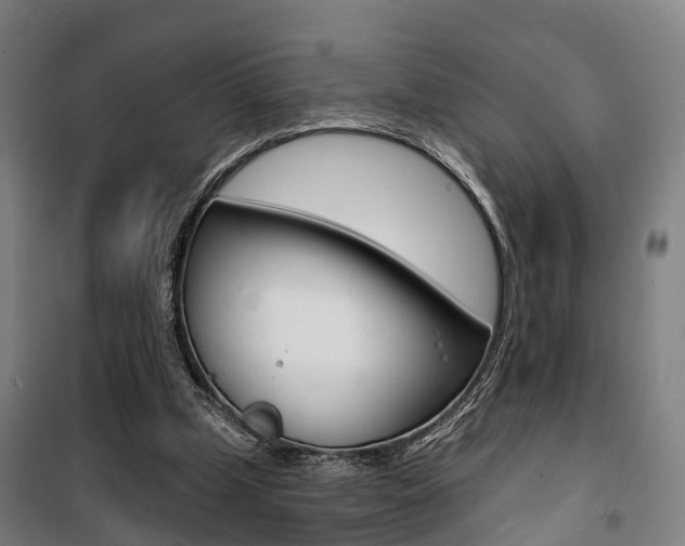X0000100870249200806200910