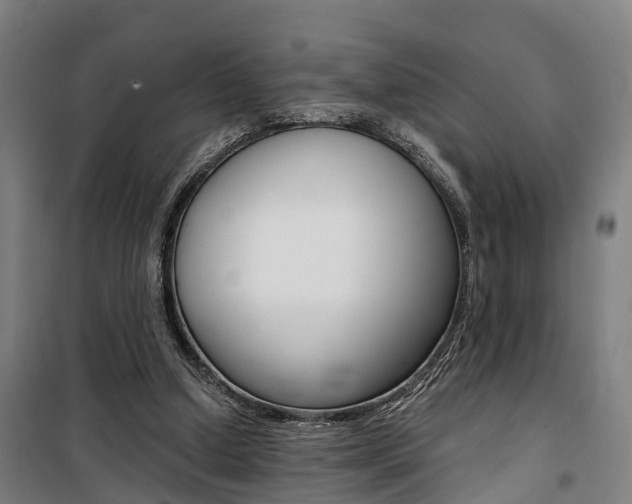 X0000100870250200806200910