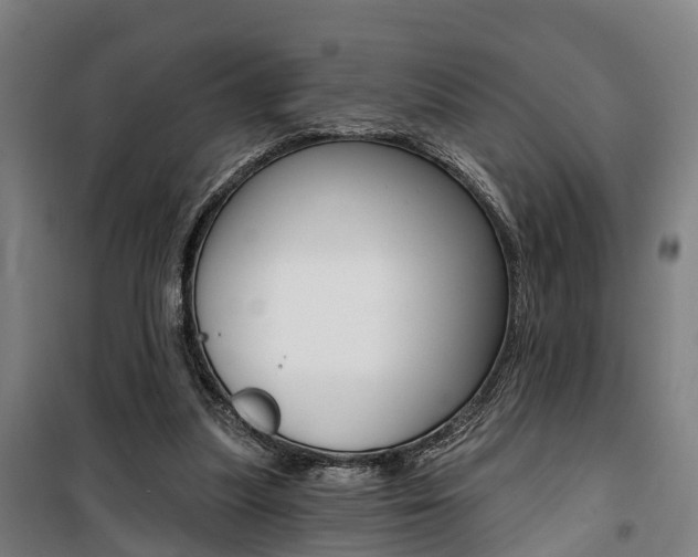 X0000100870251200806200910
