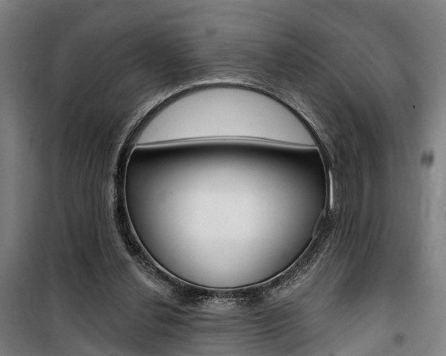X0000100870252200806200910