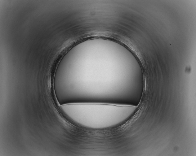X0000100870253200806200910