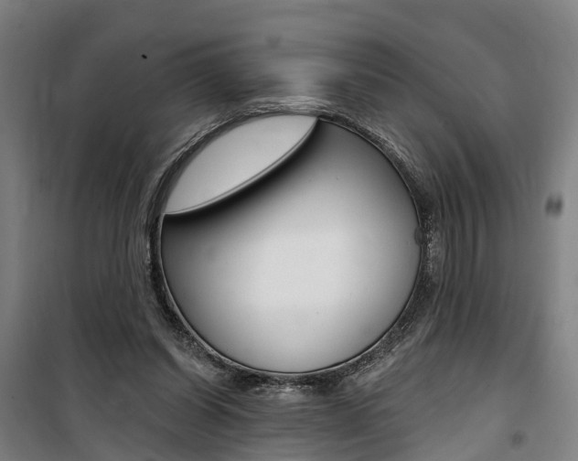 X0000100870254200806200910
