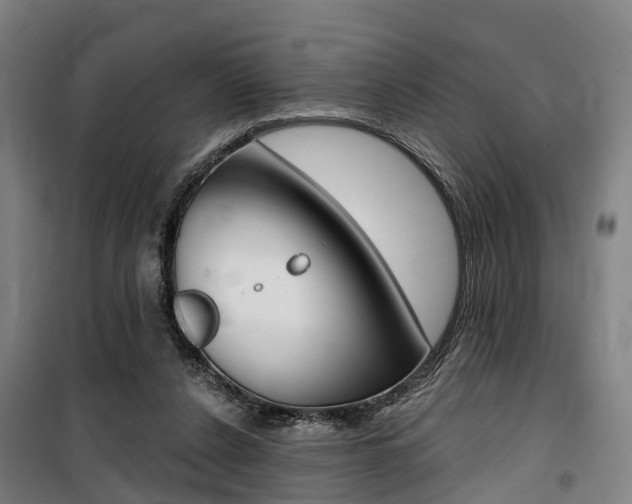X0000100870256200806200910