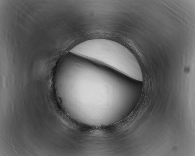 X0000100870259200806200910