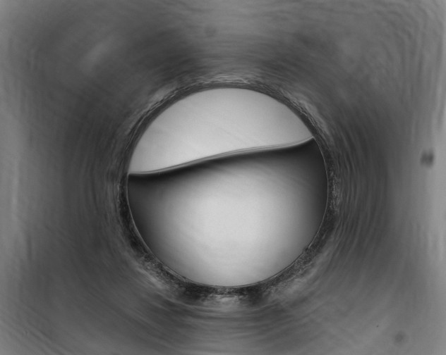 X0000100870260200806200910