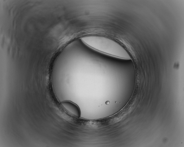 X0000100870261200806200910