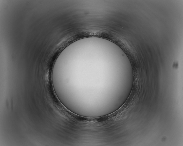 X0000100870262200806200910