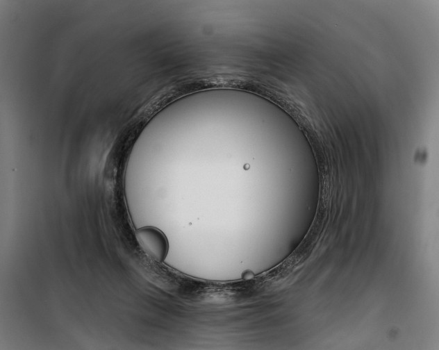 X0000100870263200806200910