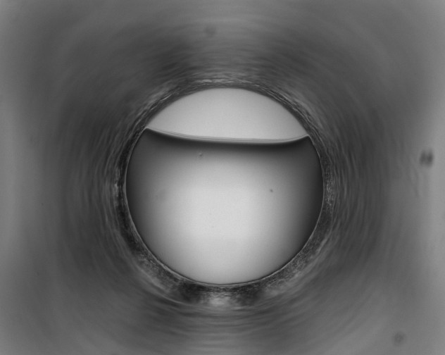 X0000100870264200806200910