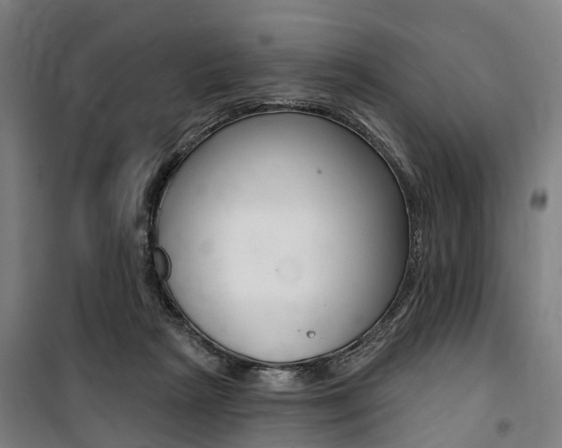 X0000100870265200806200910
