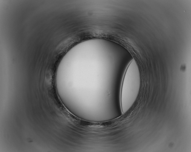 X0000100870266200806200910