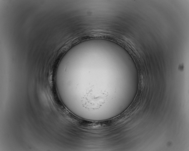X0000100870267200806200910