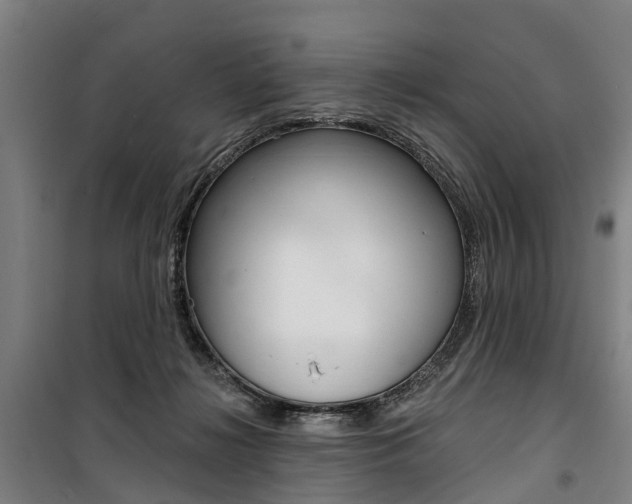 X0000100870268200806200910