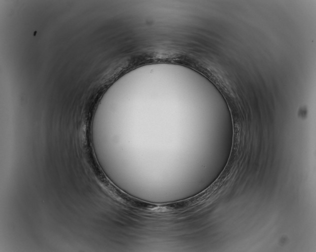 X0000100870269200806200910