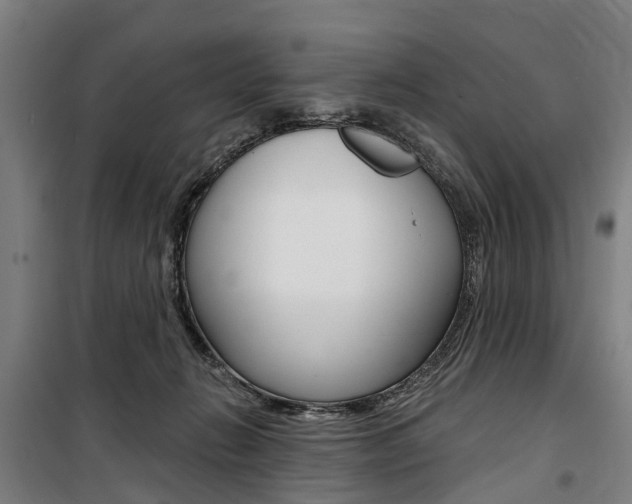 X0000100870270200806200910