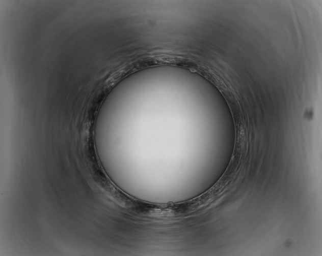 X0000100870271200806200910