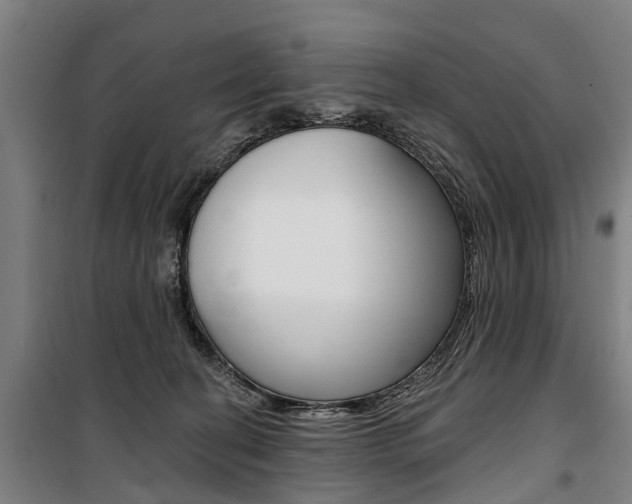 X0000100870274200806200910