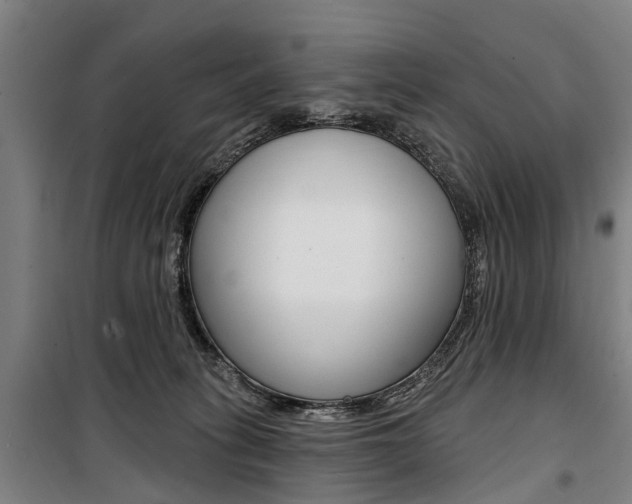 X0000100870275200806200910
