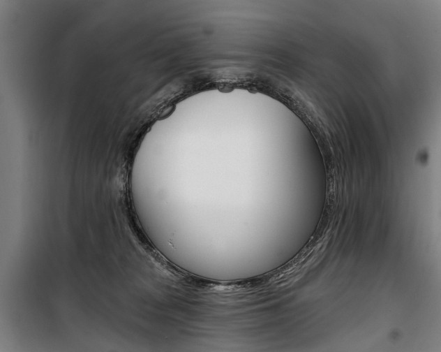 X0000100870277200806200910