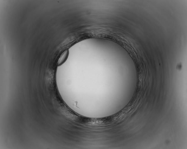 X0000100870278200806200910
