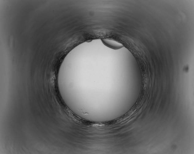 X0000100870279200806200910