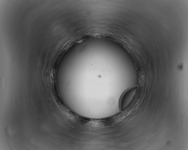 X0000100870280200806200910