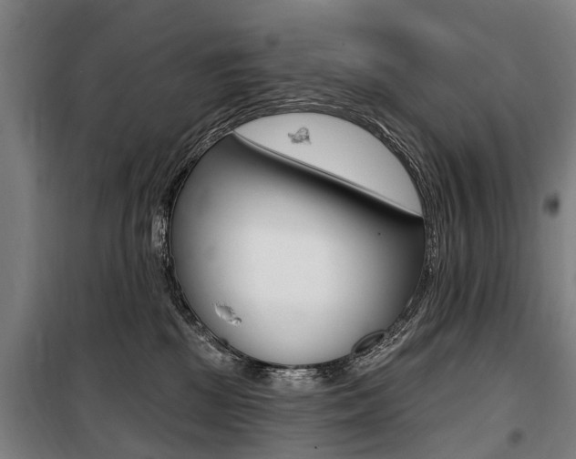 X0000100870281200806200910