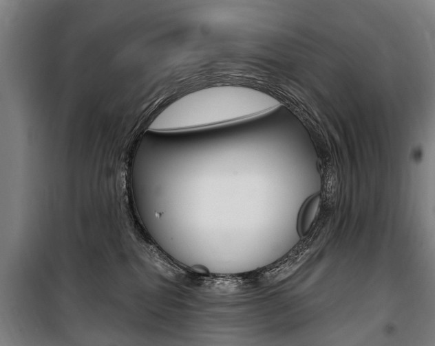 X0000100870282200806200910