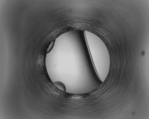 X0000100870283200806200910