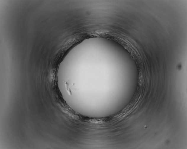 X0000100870284200806200910