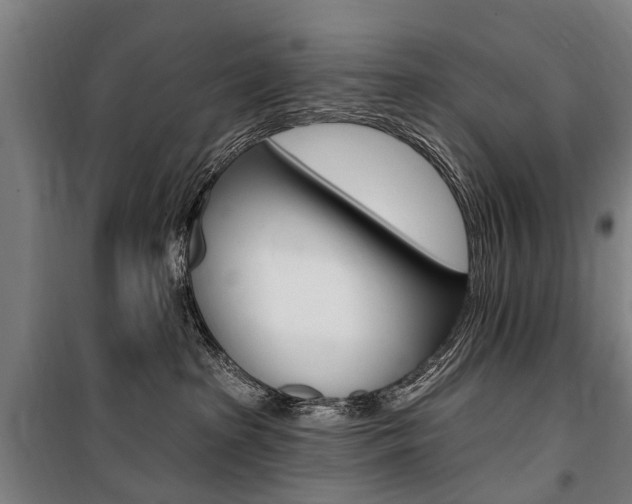 X0000100870285200806200910
