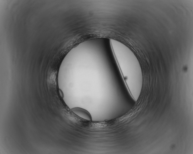 X0000100870286200806200910