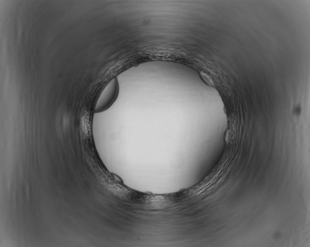 X0000100870287200806200910