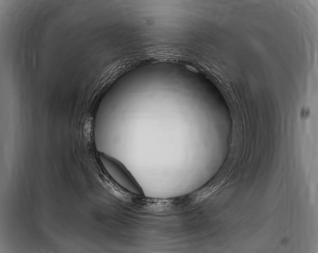 X0000100870288200806200910