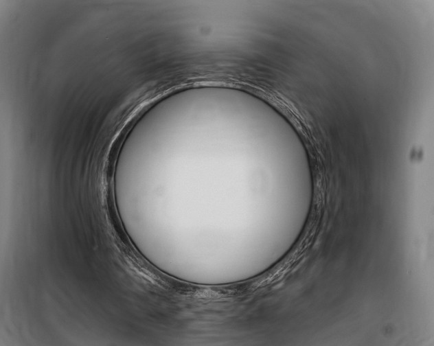 X0000100870290200806200909