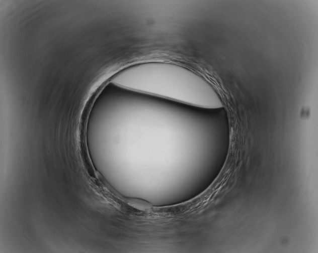 X0000100870292200806200909