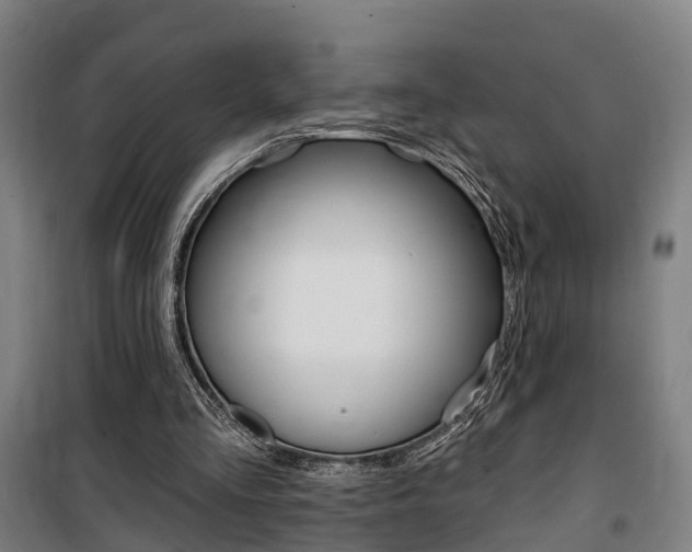 X0000100870293200806200909