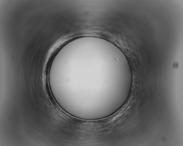 X0000100870294200806200909
