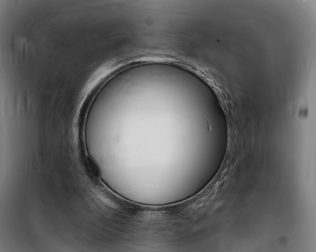X0000100870296200806200909