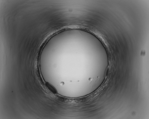 X0000100870297200806200909