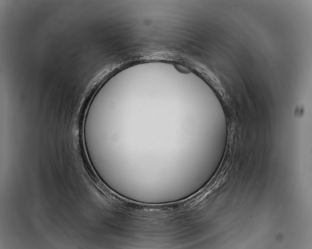X0000100870298200806200909