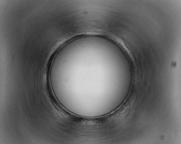 X0000100870299200806200909