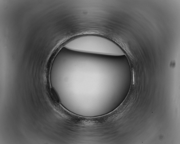 X0000100870300200806200909