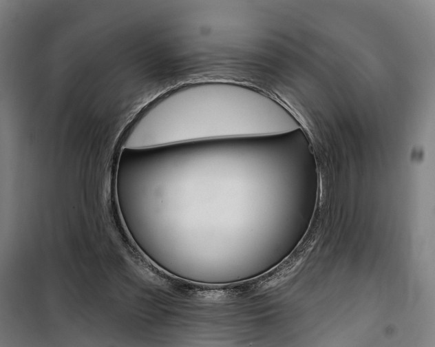 X0000100870301200806200909