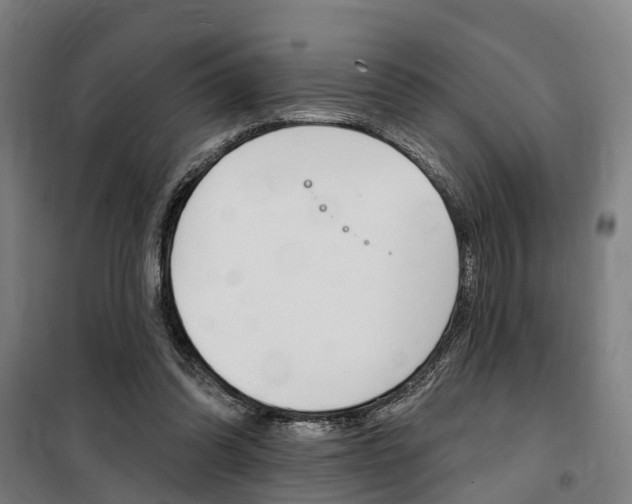 X0000100870302200806200909